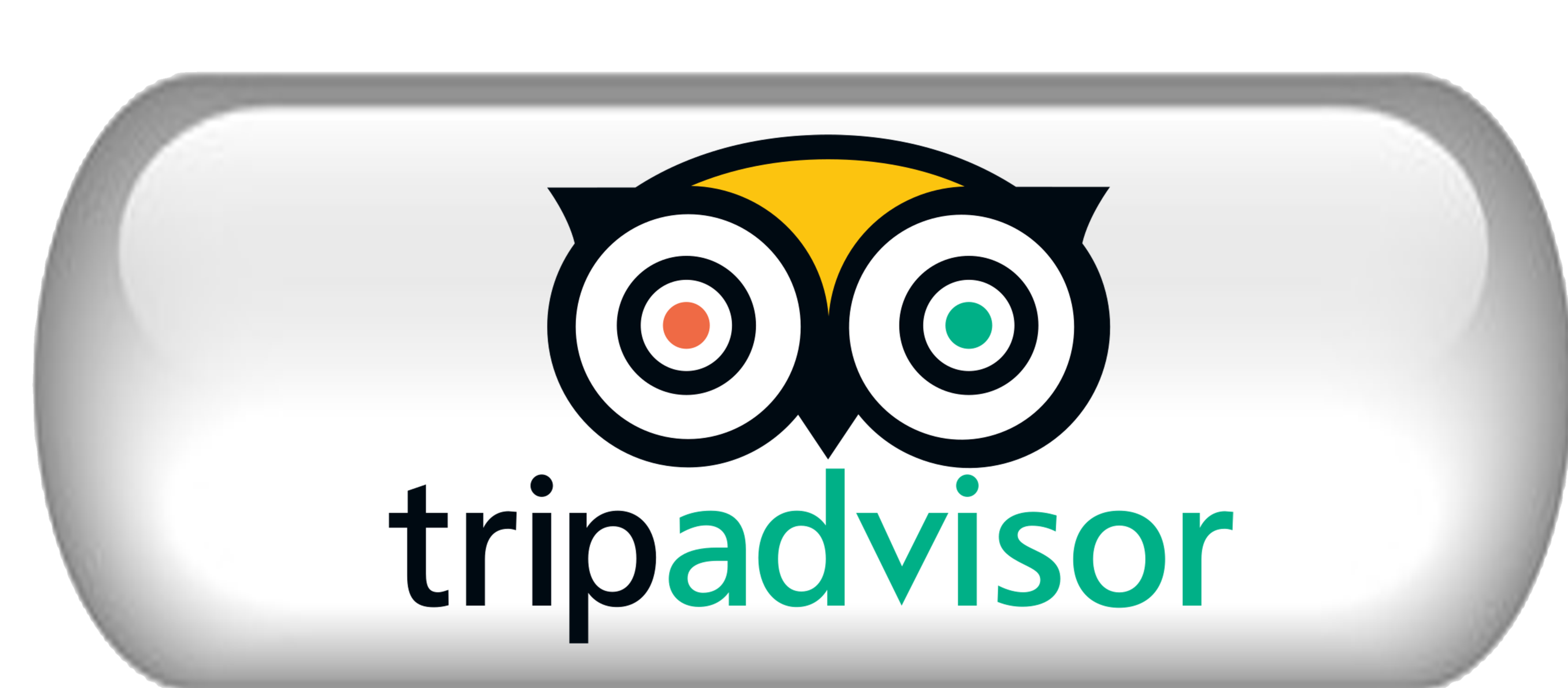 Trip Advisor button